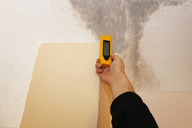 Best Indoor Air Quality Assessment  in Galls, IN