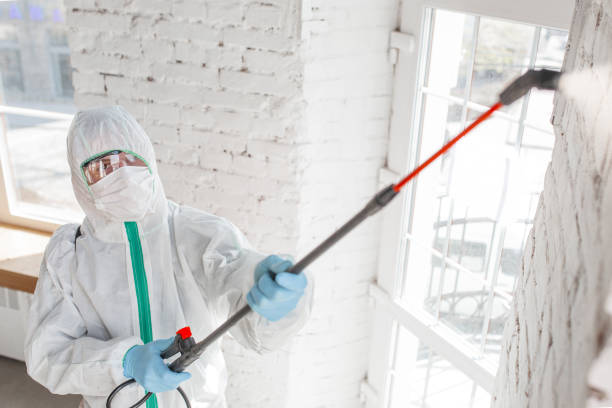 Best Real Estate Mold Inspection  in Galls, IN